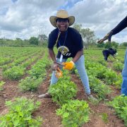 Farming